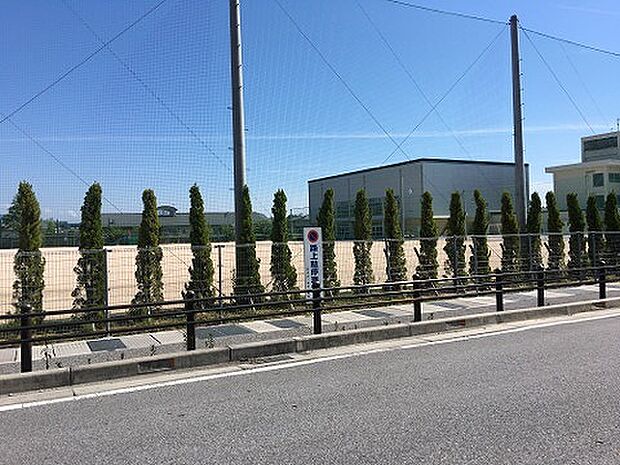 長浜市立神照小学校