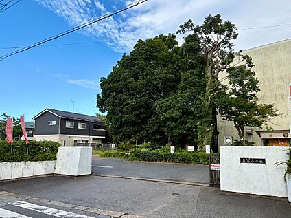佐倉市立　佐倉小学校 1600ｍ(20分)