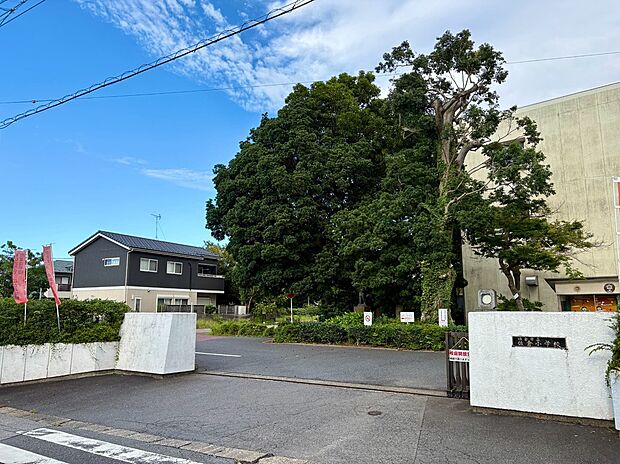 佐倉市立　佐倉小学校（約1,600m・徒歩20分）