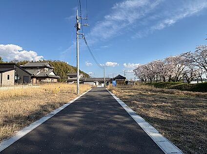 現地写真