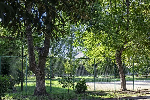 弁天公園（約490m・徒歩7分）