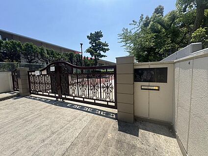 矢田中学校 1300m(17分)