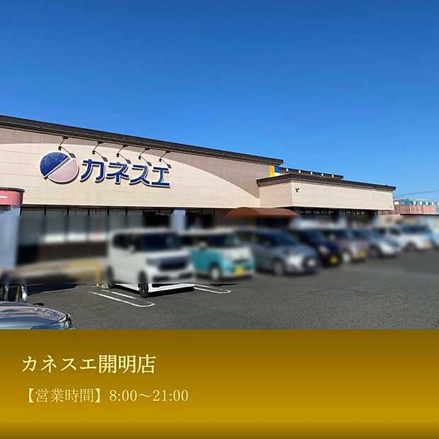 カネスエ 開明店