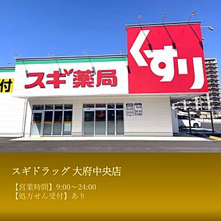 スギドラッグ 大府中央店 約850m～880m(徒歩約11分)