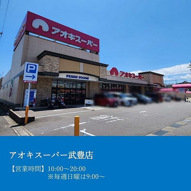 アオキスーパー武豊店