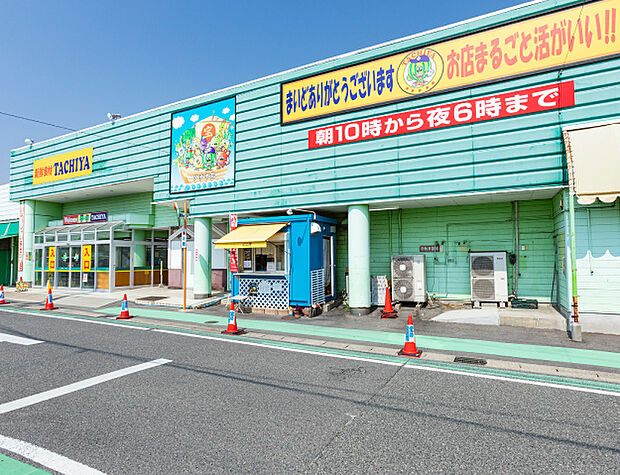 タチヤ 東郷店(約1,174m)
