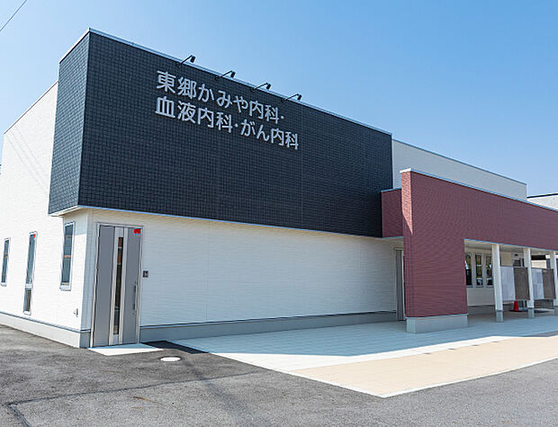 東郷かみや内科・血液内科・がん内科(約248m)