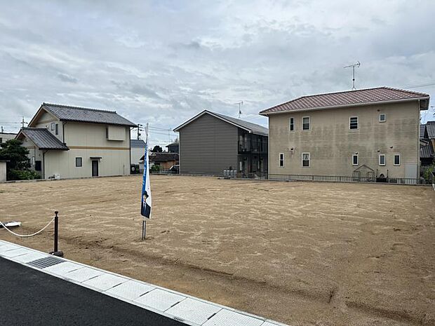 2024年7月11日撮影