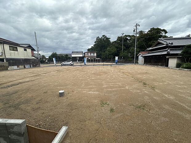 2024年7月11日撮影