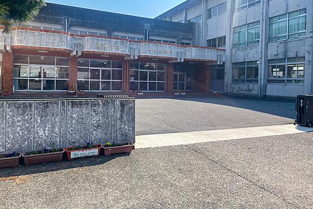 敦賀市立中央小学校(約1,100m・徒歩14分)