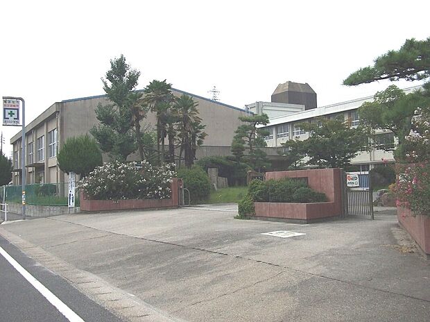 渋川小学校