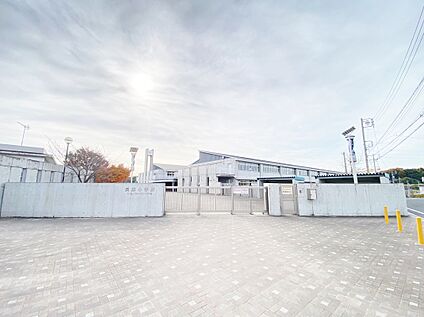 兵庫小学校 約740ｍ(徒歩10分)