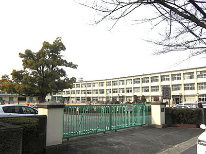 鷹来小学校 320m