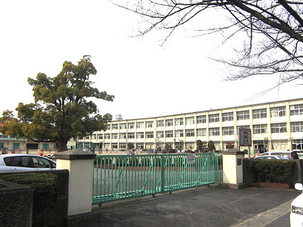 鷹来小学校(約320m)