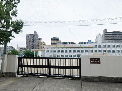 明倫小学校 80ｍ
