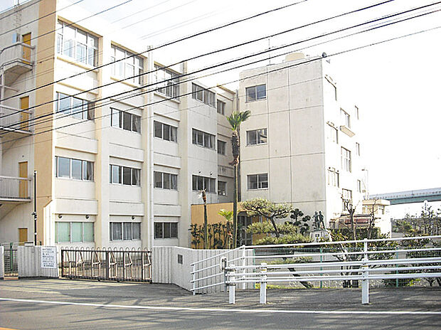 新栄小学校（約480m）