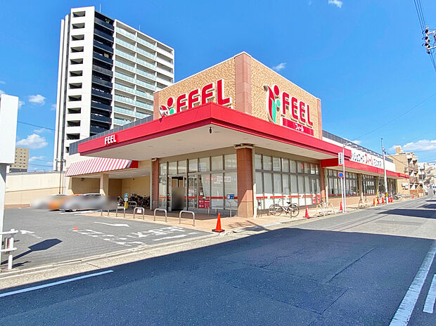 フィール　花の木店（約1,340m）