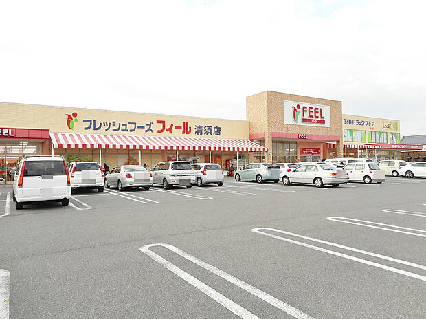 フィール 清須店(約860m)