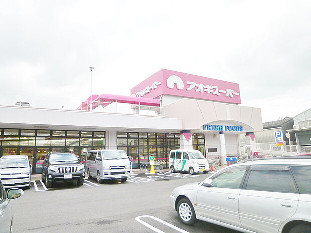 アオキスーパー 八田店（約800m）
