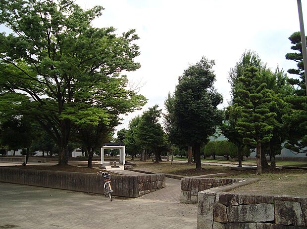 中央公園(約700m)