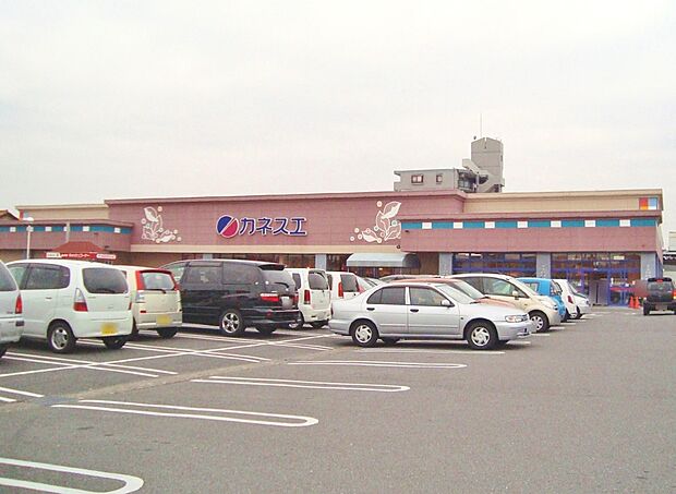 カネスエ 開明店 (約1,300m)