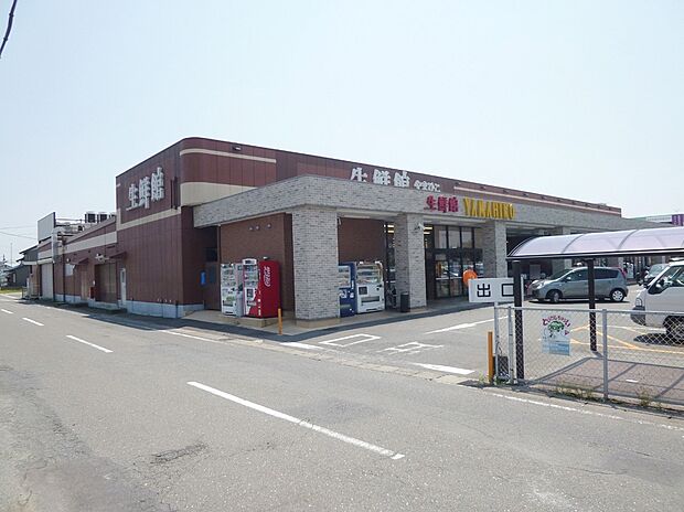 生鮮館やまひこ 弥富店（約720m）