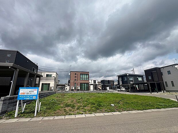 区画No.12 現地写真(2025年6月撮影)