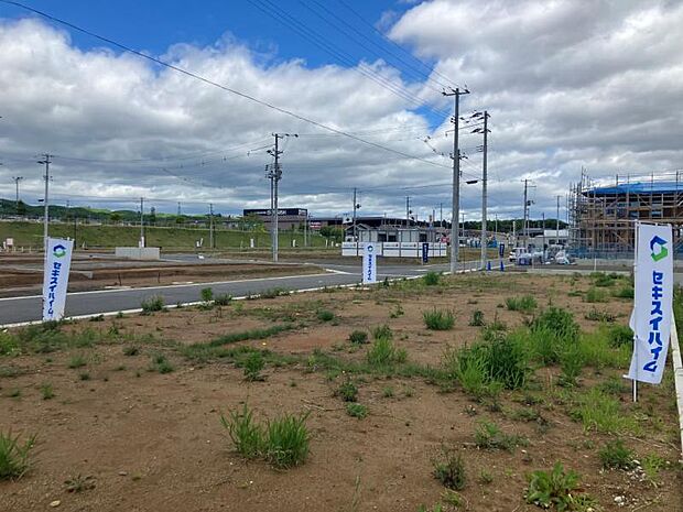 南東側より手前が区画6、奥が区画5（2025年5月撮影）