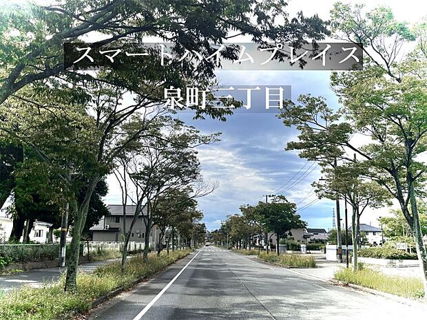 現地より泉駅までの並木道／2025年9月撮影