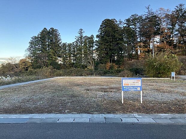 区画No.17現地写真(2024年11月撮影)/土地面積:78.49坪/南向き角地で日当たりも抜群です!
