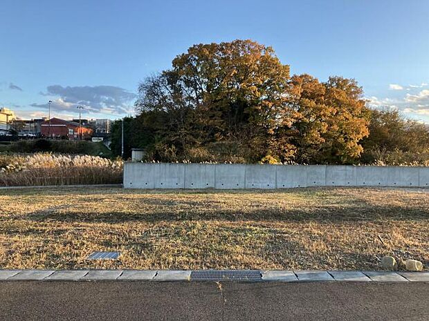 【区画No.20現地写真】北道路の整形地駐車場、建物、お庭と敷地を有効活用いただけます。(2024年11月撮影)
