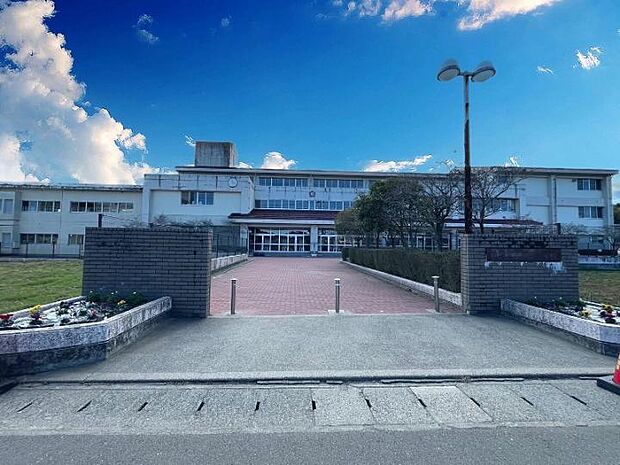 桜丘小学校