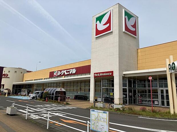 ヨークベニマル 市名坂店