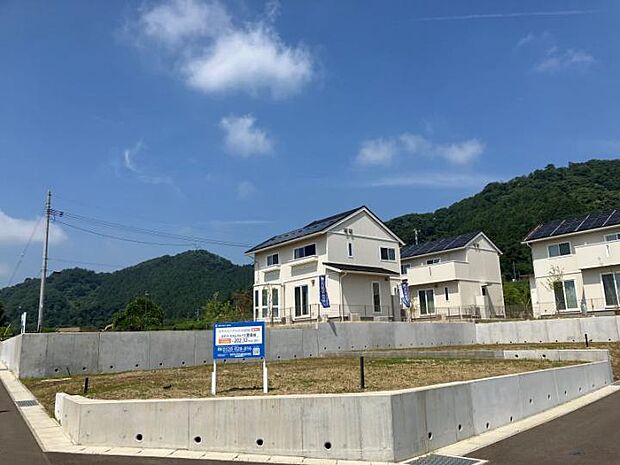 【区画: C号地】(2025年7月撮影)