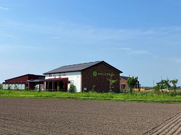 ちわら菜の花こども園