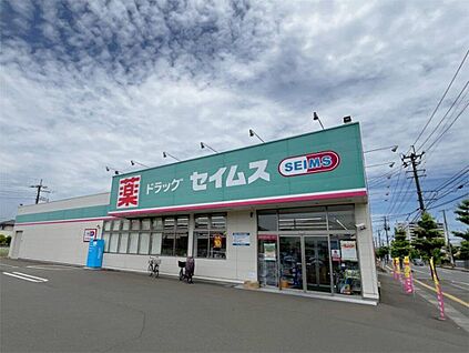 ドラックセイムス岩沼館下店 220m