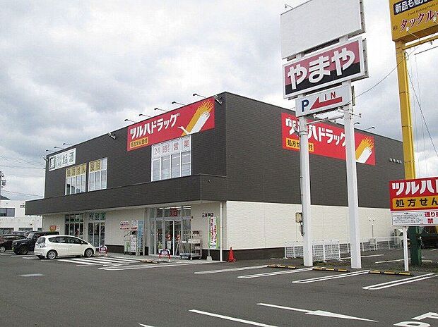 ツルハドラッグ三本柳店（約580m）