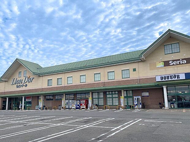 リオンドール 滝沢店(約620m)