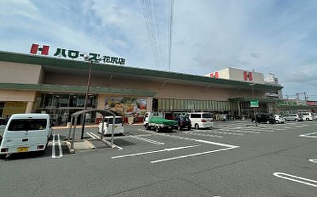 ハローズ花尻店(約2m)