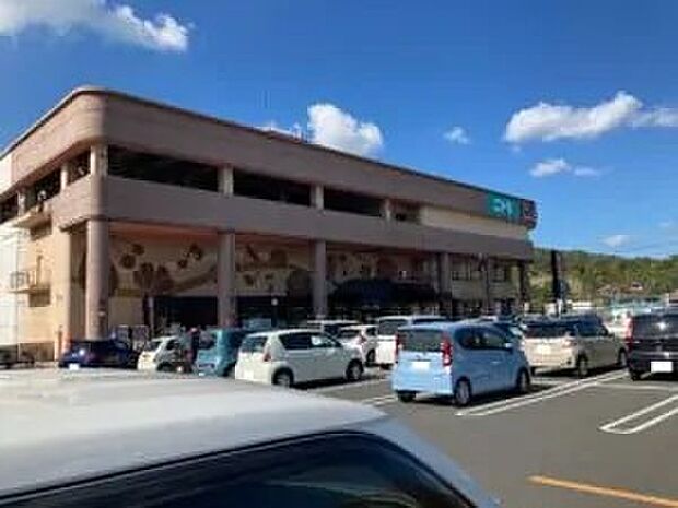 天満屋ハピータウン(約1m)