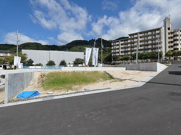 17号地(2025年8月撮影)