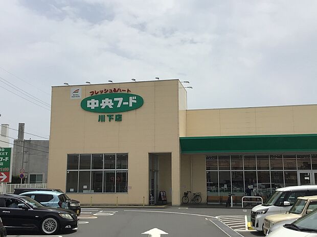 中央フード川下店