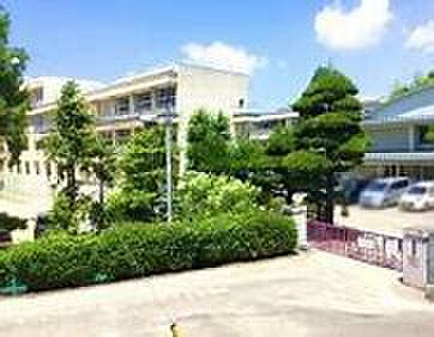 福山市立瀬戸小学校（約1m）