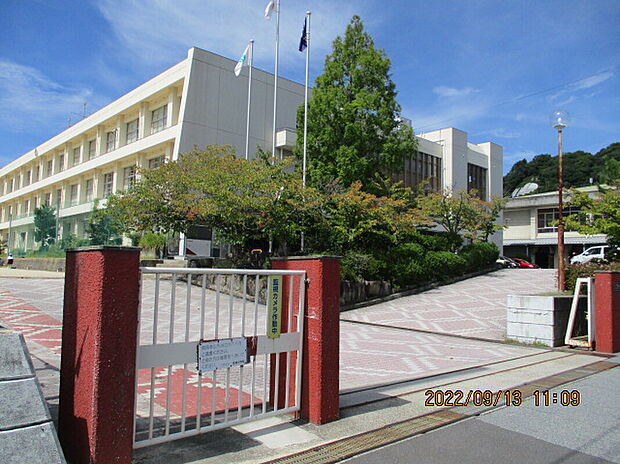 宮浦中学校(約1,200m)