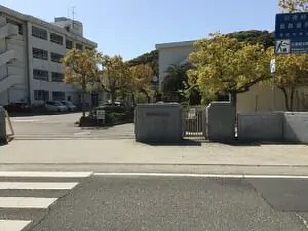 津田中学校(約690m)