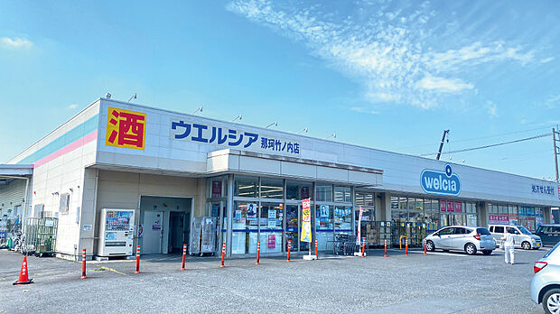 ウエルシア那珂竹ノ内店(約700m)