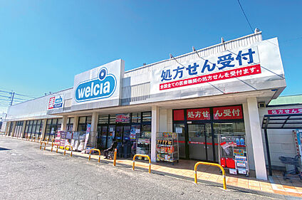 ウエルシア下館南店  約340m(徒歩5分)
