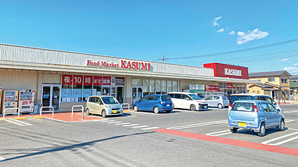 カスミ佐和店 約1030m～1080m(徒歩13分～14分)