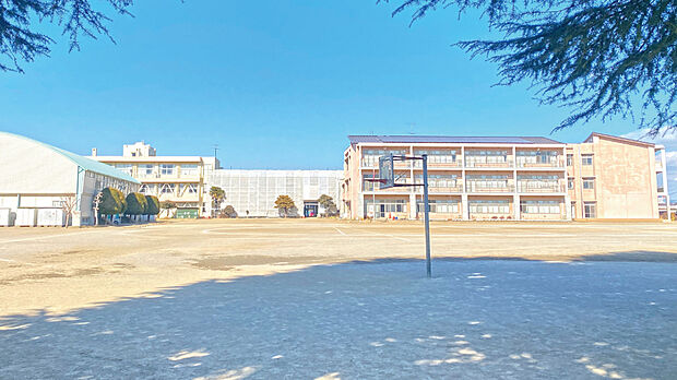 佐野小学校