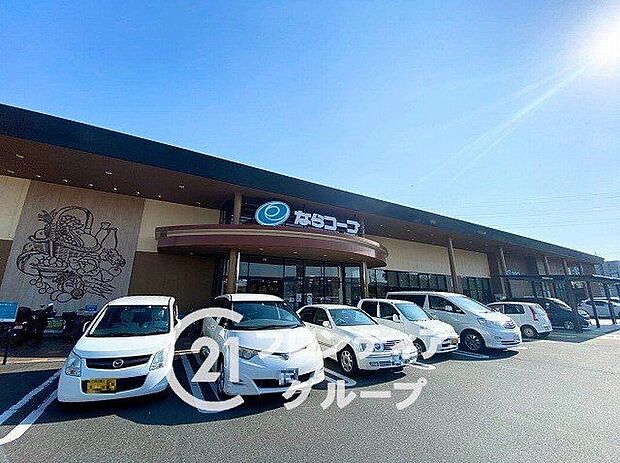 コープ七条（約800m）